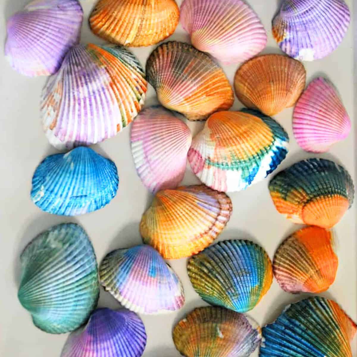 Watercolor Painted Seashells