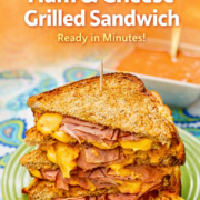 air fryer grilled ham and cheese pin